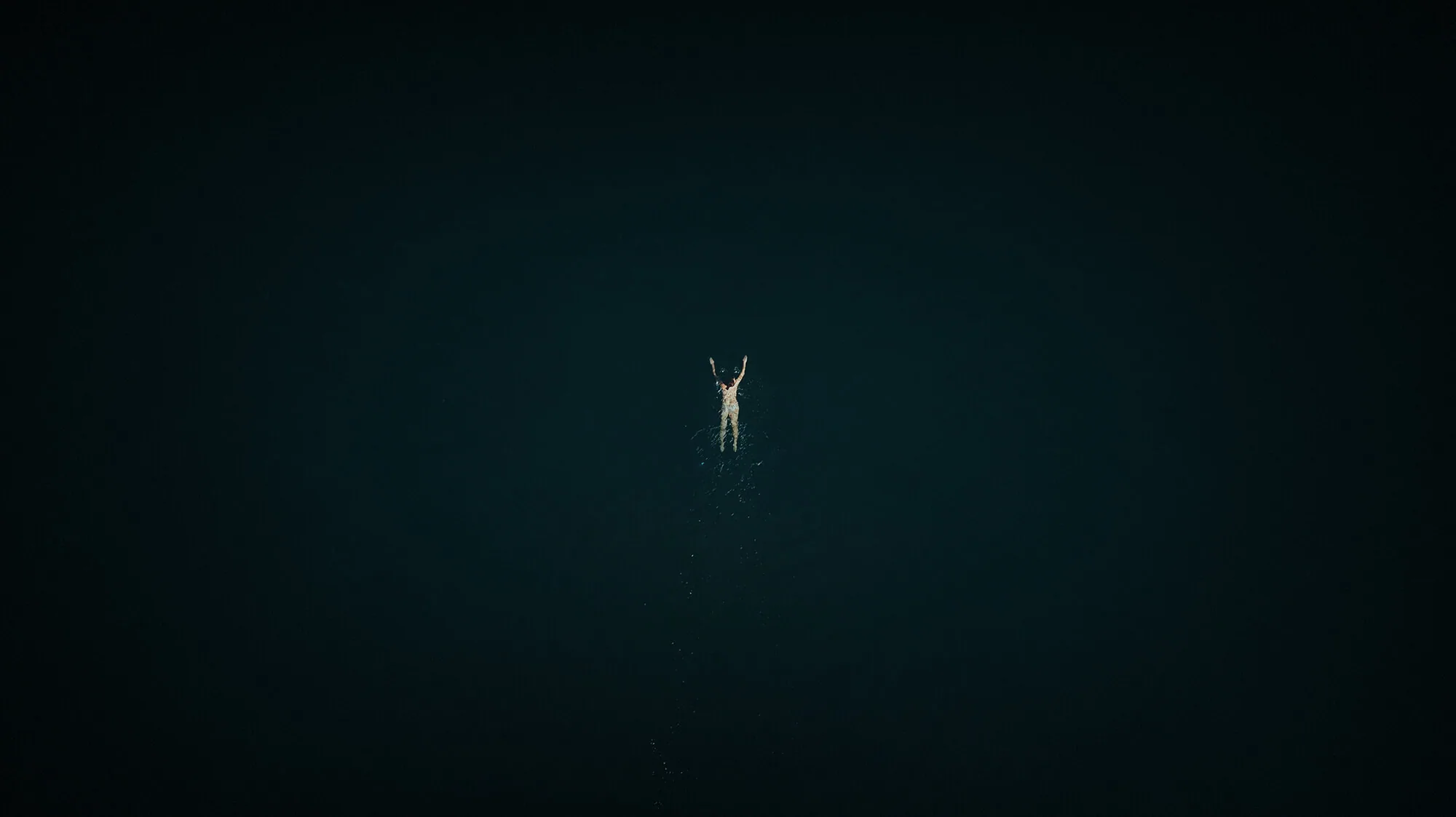 Swimming In The Big Blue Sea, photograph